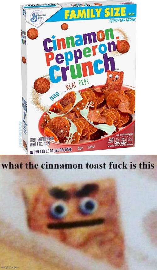 PIZZA? | image tagged in what the cinnamon toast f is this,memes,wtf | made w/ Imgflip meme maker