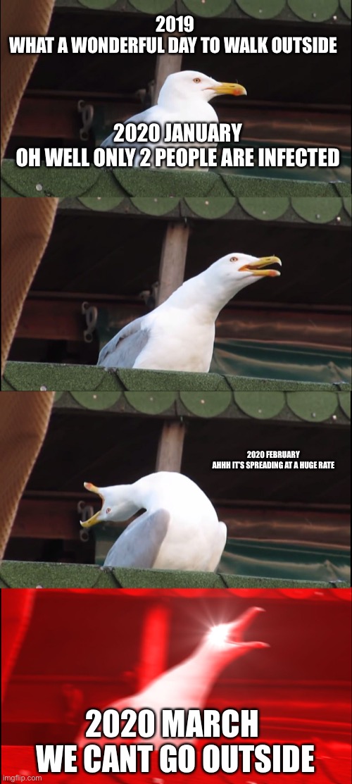 Coronavirus through the months | 2019
WHAT A WONDERFUL DAY TO WALK OUTSIDE; 2020 JANUARY 
OH WELL ONLY 2 PEOPLE ARE INFECTED; 2020 FEBRUARY 
AHHH IT’S SPREADING AT A HUGE RATE; 2020 MARCH 
WE CANT GO OUTSIDE | image tagged in memes,inhaling seagull | made w/ Imgflip meme maker