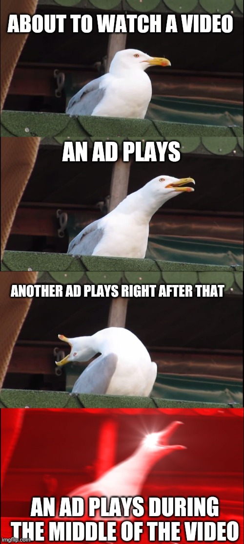 The Ad-Hating Seagull | ABOUT TO WATCH A VIDEO; AN AD PLAYS; ANOTHER AD PLAYS RIGHT AFTER THAT; AN AD PLAYS DURING THE MIDDLE OF THE VIDEO | image tagged in memes,inhaling seagull | made w/ Imgflip meme maker