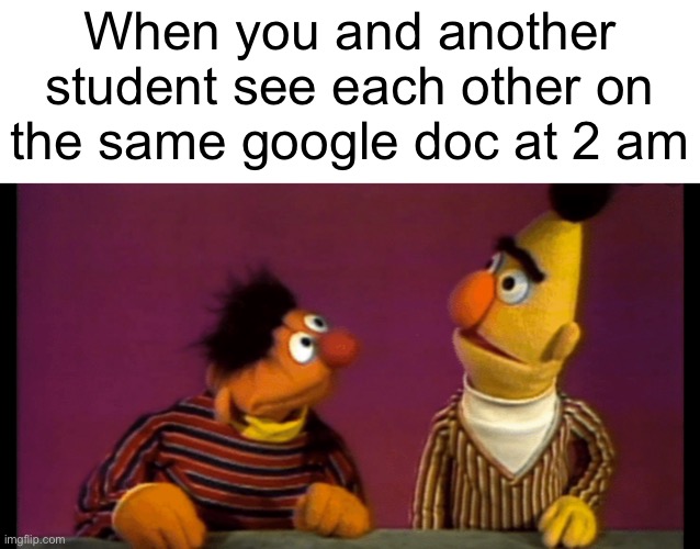 Happens all the time | When you and another student see each other on the same google doc at 2 am | image tagged in bert and ernie | made w/ Imgflip meme maker