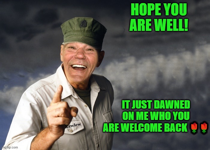kewlew | HOPE YOU ARE WELL! IT JUST DAWNED ON ME WHO YOU ARE WELCOME BACK ?? | image tagged in kewlew | made w/ Imgflip meme maker