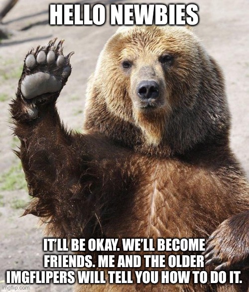 Hello bear | HELLO NEWBIES; IT’LL BE OKAY. WE’LL BECOME FRIENDS. ME AND THE OLDER IMGFLIPERS WILL TELL YOU HOW TO DO IT. | image tagged in hello bear | made w/ Imgflip meme maker