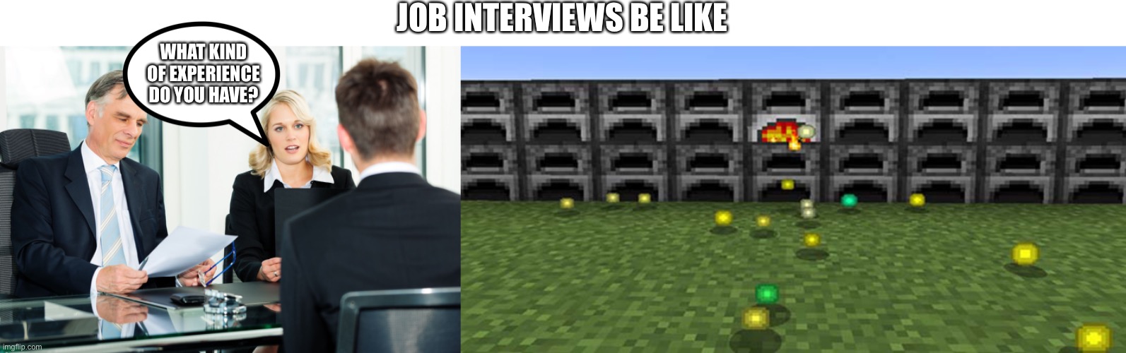 Ha ha..... Minecraft. | JOB INTERVIEWS BE LIKE; WHAT KIND OF EXPERIENCE DO YOU HAVE? | image tagged in job interview | made w/ Imgflip meme maker