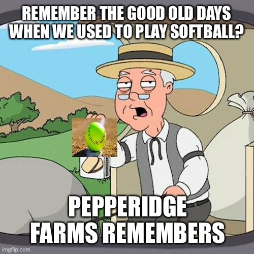Pepperidge Farm Remembers | REMEMBER THE GOOD OLD DAYS WHEN WE USED TO PLAY SOFTBALL? PEPPERIDGE FARMS REMEMBERS | image tagged in memes,pepperidge farm remembers | made w/ Imgflip meme maker