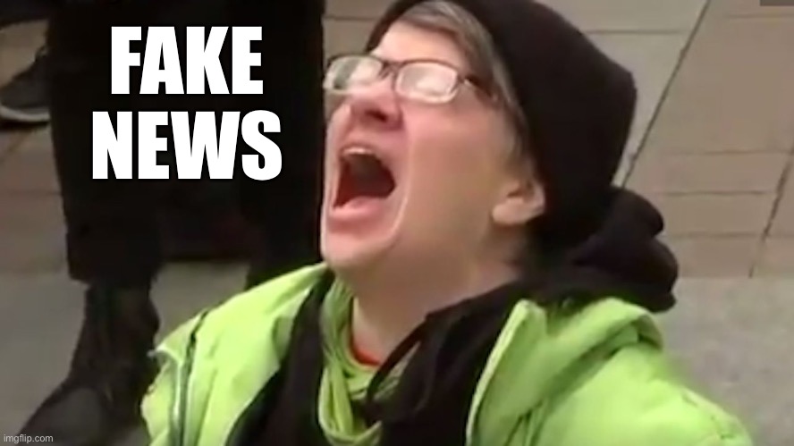 Screaming Liberal  | FAKE
NEWS | image tagged in screaming liberal | made w/ Imgflip meme maker