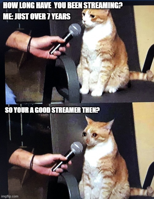 Cat interview crying | HOW LONG HAVE  YOU BEEN STREAMING? ME: JUST OVER 7 YEARS; SO YOUR A GOOD STREAMER THEN? | image tagged in cat interview crying,memes | made w/ Imgflip meme maker