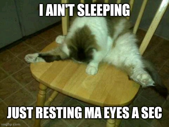 Matt Miller | I AIN'T SLEEPING; JUST RESTING MA EYES A SEC | image tagged in matt miller | made w/ Imgflip meme maker