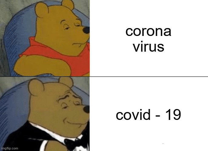 Tuxedo Winnie The Pooh Meme | corona virus; covid - 19 | image tagged in memes,tuxedo winnie the pooh | made w/ Imgflip meme maker