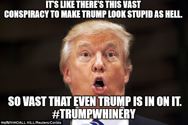 Trump stupid face | IT'S LIKE THERE'S THIS VAST CONSPIRACY TO MAKE TRUMP LOOK STUPID AS HELL. SO VAST THAT EVEN TRUMP IS IN ON IT.

#TRUMPWHINERY | image tagged in trump stupid face | made w/ Imgflip meme maker