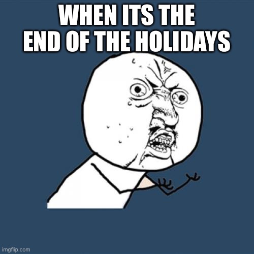 WHY!!! | WHEN ITS THE END OF THE HOLIDAYS | image tagged in memes,y u no | made w/ Imgflip meme maker