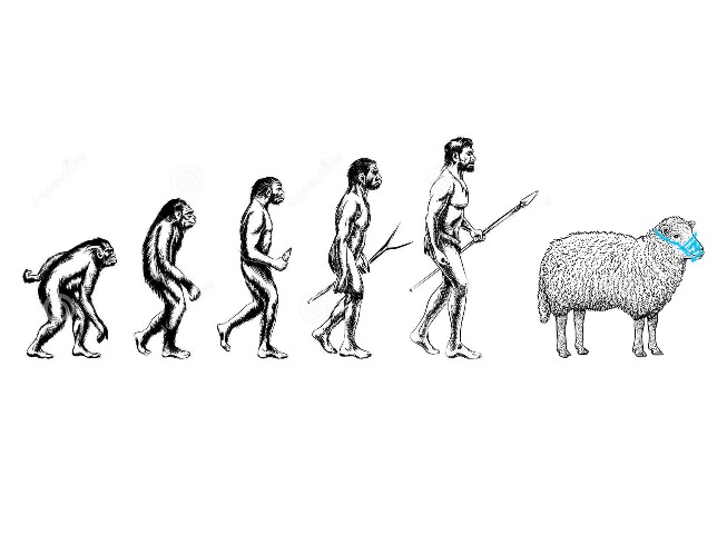 Corona Evolution | image tagged in coronavirus,evolution,mask,sheep | made w/ Imgflip meme maker