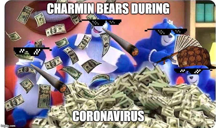 Charmin Bears Right Now Be Like... | CHARMIN BEARS DURING; CORONAVIRUS | image tagged in charmin bears right now be like | made w/ Imgflip meme maker