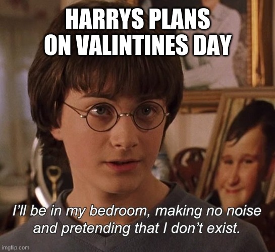 Harry Potter | HARRYS PLANS ON VALINTINES DAY | image tagged in harry potter | made w/ Imgflip meme maker