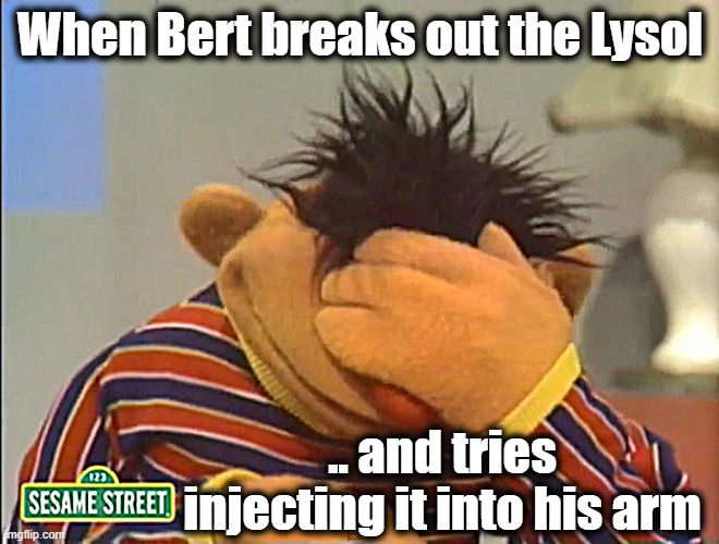 Ernie! You should've explained to Bert the President was being sarcastic | When Bert breaks out the Lysol; .. and tries injecting it into his arm | image tagged in face palm ernie,dumb,covid-19,quarantine | made w/ Imgflip meme maker