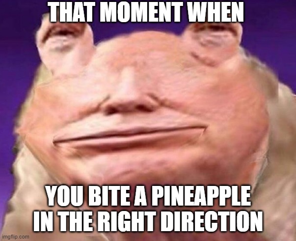 Most superior fruit | THAT MOMENT WHEN; YOU BITE A PINEAPPLE IN THE RIGHT DIRECTION | image tagged in dank memes,dank,dank meme,fruit | made w/ Imgflip meme maker