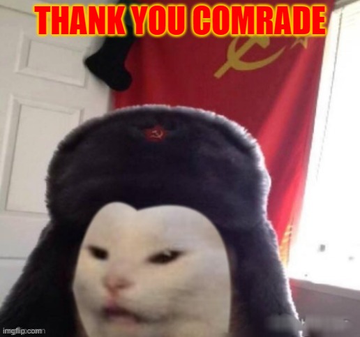 thank you comrade | THANK YOU COMRADE | image tagged in russian cat | made w/ Imgflip meme maker