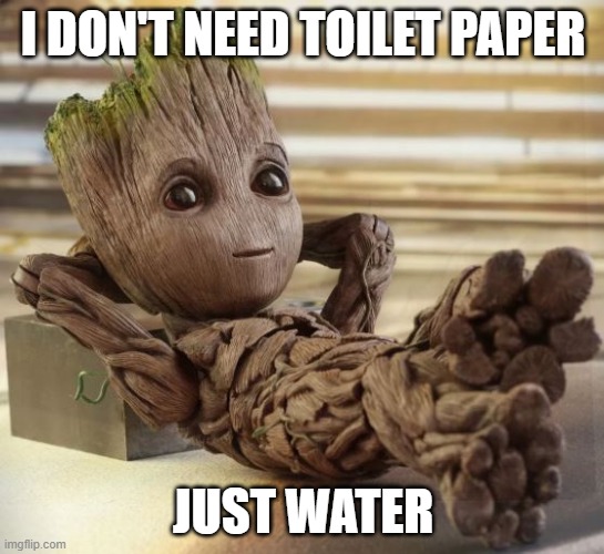 Baby Groot | I DON'T NEED TOILET PAPER; JUST WATER | image tagged in baby groot | made w/ Imgflip meme maker