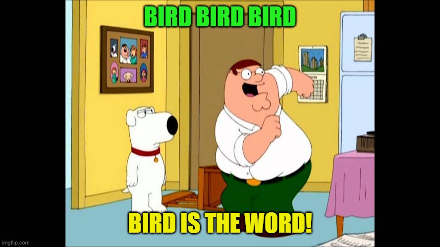 bird is the word | BIRD BIRD BIRD BIRD IS THE WORD! | image tagged in bird is the word | made w/ Imgflip meme maker