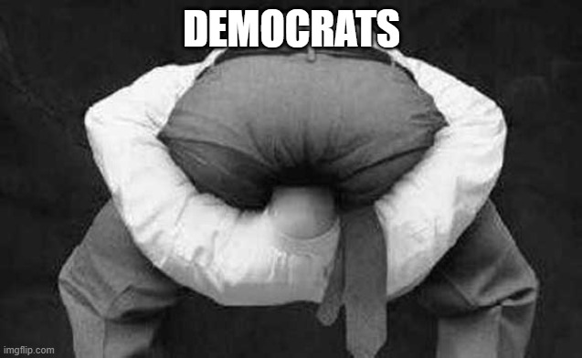 Head up ass  | DEMOCRATS | image tagged in head up ass | made w/ Imgflip meme maker