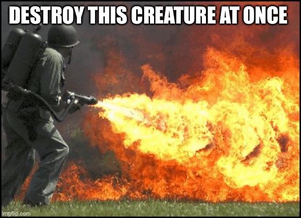 Kill it with fire | DESTROY THIS CREATURE AT ONCE | image tagged in kill it with fire | made w/ Imgflip meme maker
