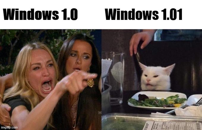 windows 1.0 hate windows 1.01 | Windows 1.0; Windows 1.01 | image tagged in memes,woman yelling at cat | made w/ Imgflip meme maker