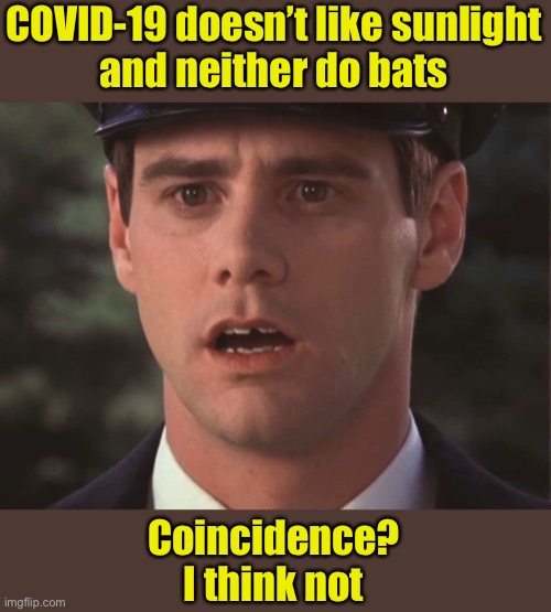 Maybe it really did come from eating bats | COVID-19 doesn’t like sunlight
and neither do bats; Coincidence?
I think not | image tagged in sudden realization lloyd,bats,covid-19,coronavirus | made w/ Imgflip meme maker