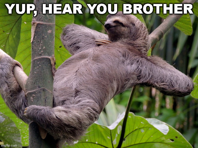 Lazy Sloth | YUP, HEAR YOU BROTHER | image tagged in lazy sloth | made w/ Imgflip meme maker