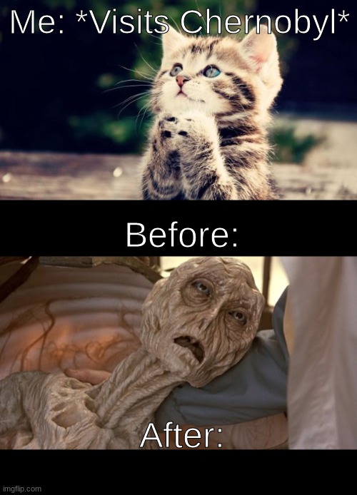 Gotta love that radiation! | Me: *Visits Chernobyl*; Before:; After: | image tagged in cute kitten,alien dying | made w/ Imgflip meme maker