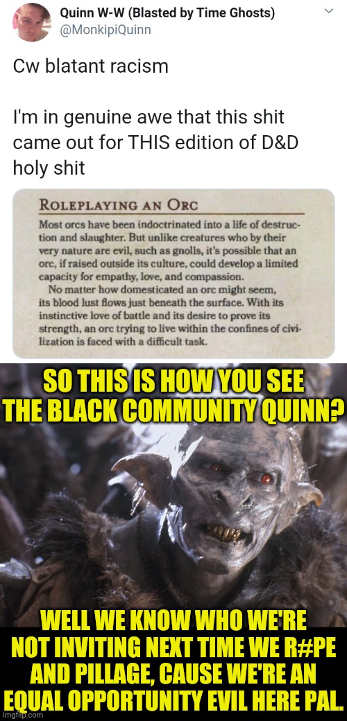 Another Twitter SJW Racist Outs Themselves | SO THIS IS HOW YOU SEE THE BLACK COMMUNITY QUINN? WELL WE KNOW WHO WE'RE NOT INVITING NEXT TIME WE R#PE AND PILLAGE, CAUSE WE'RE AN EQUAL OPPORTUNITY EVIL HERE PAL. | image tagged in twitter,that's racist,racist,dungeons and dragons,sjws,political meme | made w/ Imgflip meme maker