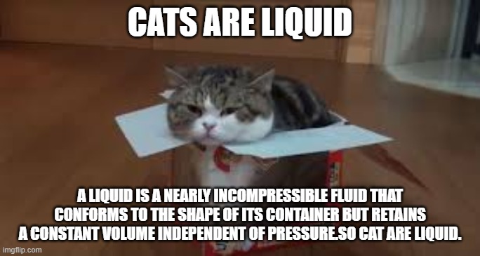 Cat are liquid? | CATS ARE LIQUID; A LIQUID IS A NEARLY INCOMPRESSIBLE FLUID THAT CONFORMS TO THE SHAPE OF ITS CONTAINER BUT RETAINS A CONSTANT VOLUME INDEPENDENT OF PRESSURE.SO CAT ARE LIQUID. | image tagged in xd lol | made w/ Imgflip meme maker