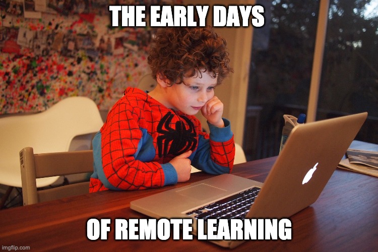 THE EARLY DAYS; OF REMOTE LEARNING | image tagged in memes | made w/ Imgflip meme maker