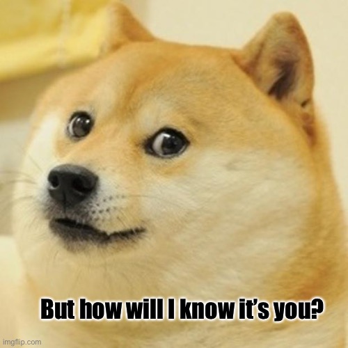 Doge Meme | But how will I know it’s you? | image tagged in memes,doge | made w/ Imgflip meme maker