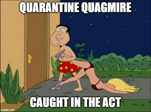 social distancing is lonely | QUARANTINE QUAGMIRE; CAUGHT IN THE ACT | image tagged in family guy quagmire | made w/ Imgflip meme maker