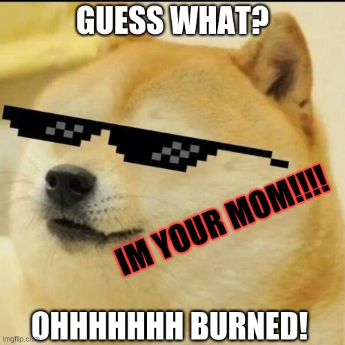 Sunglass Doge | GUESS WHAT? IM YOUR MOM!!!! OHHHHHHH BURNED! | image tagged in sunglass doge | made w/ Imgflip meme maker