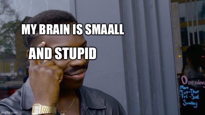 Roll Safe Think About It | MY BRAIN IS SMAALL; AND STUPID | image tagged in memes,roll safe think about it | made w/ Imgflip meme maker
