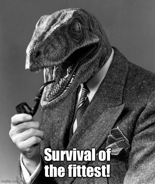Evolution | Survival of the fittest! | image tagged in evolution | made w/ Imgflip meme maker