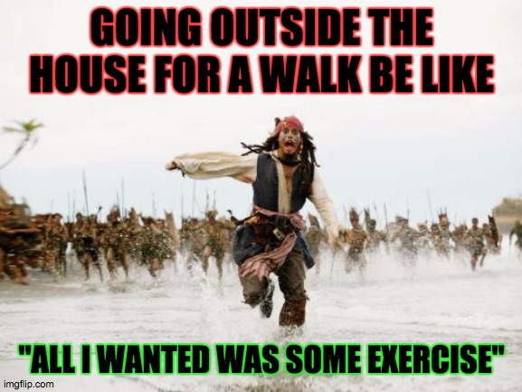 Excersise denied | GOING OUTSIDE THE HOUSE FOR A WALK BE LIKE; "ALL I WANTED WAS SOME EXERCISE" | image tagged in memes,jack sparrow being chased | made w/ Imgflip meme maker