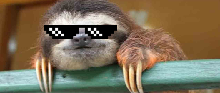High Quality fancy sloth Blank Meme Template
