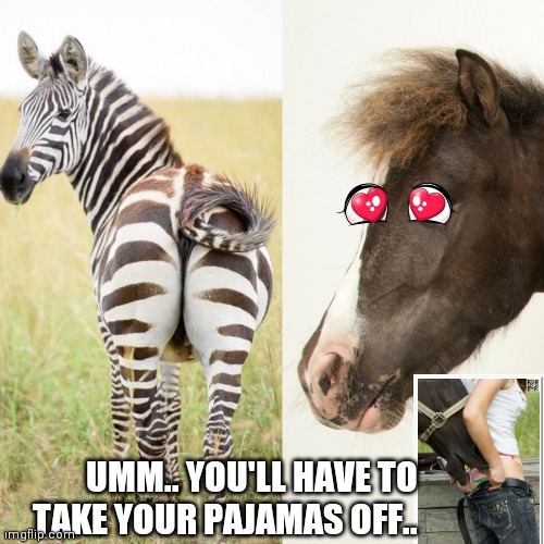 Zebra and horse | UMM.. YOU'LL HAVE TO TAKE YOUR PAJAMAS OFF.. | image tagged in zebra and horse | made w/ Imgflip meme maker