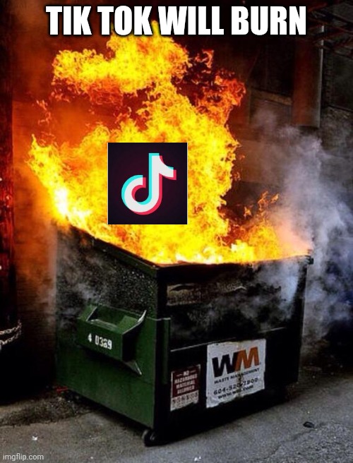 Dumpster Fire | TIK TOK WILL BURN | image tagged in dumpster fire | made w/ Imgflip meme maker