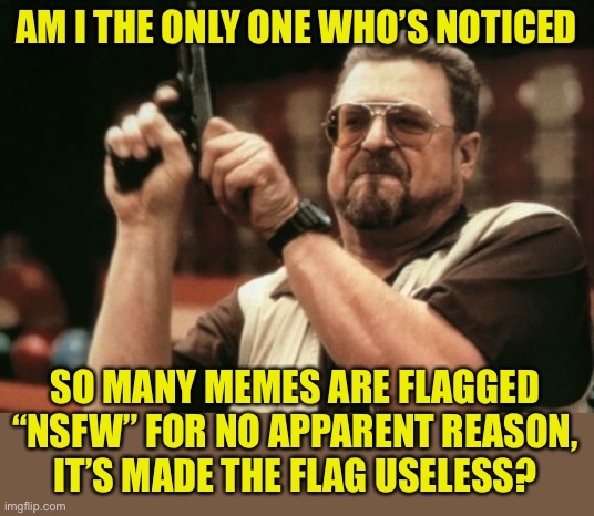 Am I The Only One Around Here Meme | AM I THE ONLY ONE WHO’S NOTICED; SO MANY MEMES ARE FLAGGED “NSFW” FOR NO APPARENT REASON,
IT’S MADE THE FLAG USELESS? | image tagged in memes,am i the only one around here | made w/ Imgflip meme maker