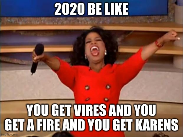 2020 | 2020 BE LIKE; YOU GET VIRES AND YOU GET A FIRE AND YOU GET KARENS | image tagged in memes,oprah you get a | made w/ Imgflip meme maker