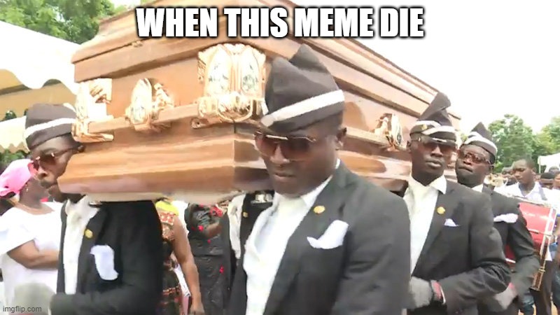 when this meme die | WHEN THIS MEME DIE | image tagged in funny memes | made w/ Imgflip meme maker