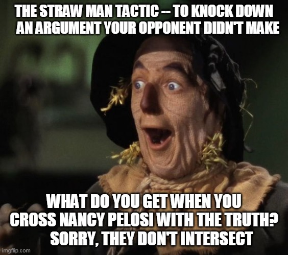 Nancy Pelosi | THE STRAW MAN TACTIC -- TO KNOCK DOWN    AN ARGUMENT YOUR OPPONENT DIDN'T MAKE; WHAT DO YOU GET WHEN YOU CROSS NANCY PELOSI WITH THE TRUTH?      SORRY, THEY DON'T INTERSECT | image tagged in straw man - what a great idea | made w/ Imgflip meme maker
