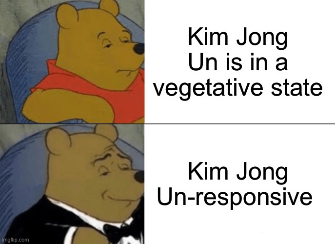 Tuxedo Winnie The Pooh Meme | Kim Jong Un is in a vegetative state; Kim Jong Un-responsive | image tagged in memes,tuxedo winnie the pooh,memes | made w/ Imgflip meme maker