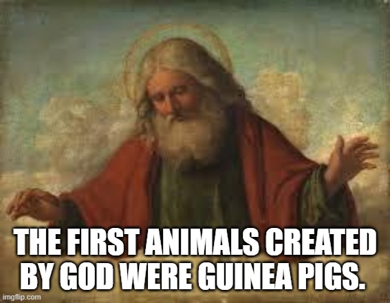 god | THE FIRST ANIMALS CREATED BY GOD WERE GUINEA PIGS. | image tagged in god | made w/ Imgflip meme maker