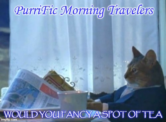 Purrific | PurriFic Morning Travelers; WOULD YOU FANCY A SPOT OF TEA | image tagged in memes,i should buy a boat cat,spot of tea | made w/ Imgflip meme maker
