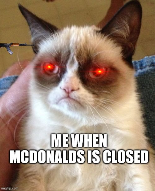 Grumpy Cat | ME WHEN MCDONALDS IS CLOSED | image tagged in memes,grumpy cat | made w/ Imgflip meme maker