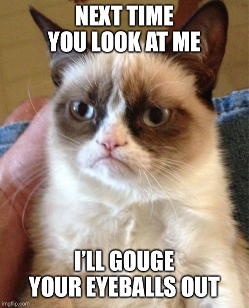 Grumpy Cat | NEXT TIME YOU LOOK AT ME; I’LL GOUGE YOUR EYEBALLS OUT | image tagged in memes,grumpy cat | made w/ Imgflip meme maker