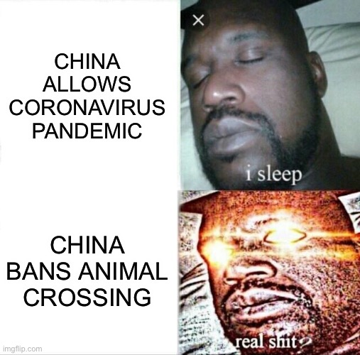 Sleeping Shaq Meme | CHINA ALLOWS CORONAVIRUS PANDEMIC; CHINA BANS ANIMAL CROSSING | image tagged in memes,sleeping shaq | made w/ Imgflip meme maker